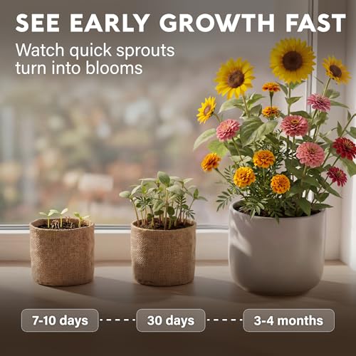 AVERGO Sunflower, Marigold & Zinnia Flower Seeds Growing Kit