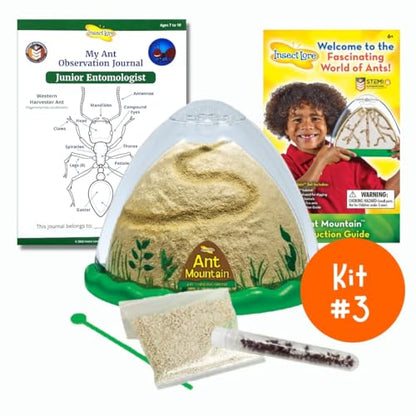 Insect Lore Bug Camp Bundle - Butterfly Kit with 5 Live Caterpillars, Ladybug Land with 1 Tube Live Larvae, Ant Mountain with 1 Tube Live Western Harvester Ants - Bonus Life Cycle Figurines & More