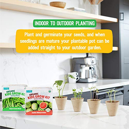 Back to the Roots Kids Science Grow Kit - 2 pk Bean and Watermelon - style: Bean and Watermelon Kit