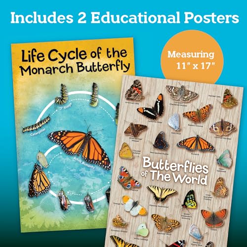 MindWare Make Your Own Butterfly House Kit - Butterfly Craft Kit for Kids Age 5 and Up