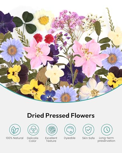 Dried Flowers, Resiners 100Pcs Pressed Flowers for Craft Purple Real Natural Dried Flowers Dry Leaves Kit for DIY Making Crafts Resin Soap Candle Scrapbook Supplies Card Making Jewelry - color: Violet 100pcs