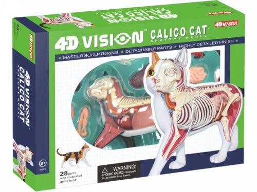 4D Vision Calico Cat Anatomy Model - Medical Quality Collectible with Fully Detachable Organs and Body Parts