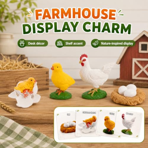 Montessori Life Cycle Animal Figures with Flash Cards, Lifelike Animal Growth Cycle Biological Model Set (Rooster) - style: Rooster