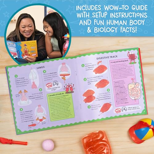 Wow in The World The Amazing Human Body Kit by Thames & Kosmos, Interactive Mechanical Anatomy Model w/Pumping Heart, Lungs, Digestive Tract, Glow-in-The-Dark Bones, Brain & More, Science for Ages 4+