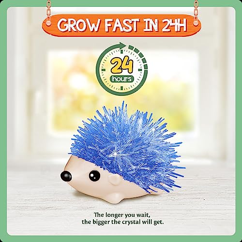 Crystal Growing Kit - 4 Vibrant Hedgehogs Fast 24H, STEM Gift for Kids 6-12 - color: 4 Hedgehog Crystal