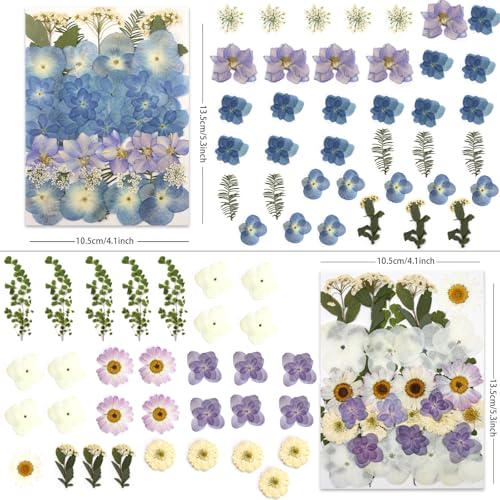 LUXEEASE 140P Hydrangea Dried Pressed Flowers - color: Hydrangea 140p