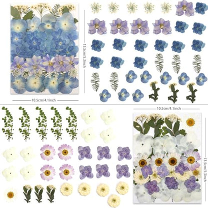 LUXEEASE 140P Hydrangea Dried Pressed Flowers - color: Hydrangea 140p