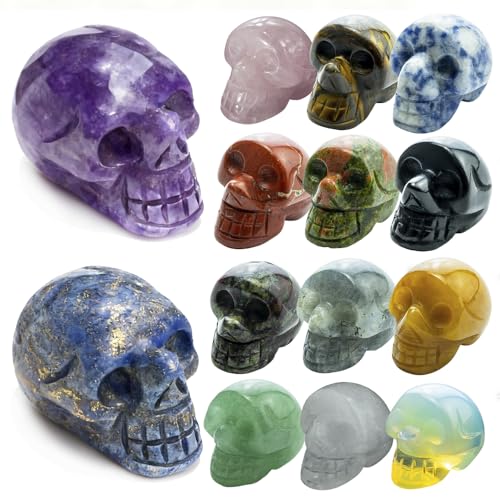 14Pcs 1 Inch Natural Crystal Skulls Set, Hand Carved Polished Gemstone Ghost Head Statues, Mixed Natural Mineral Crystal Skulls, Reiki Healing Stone Crafts, Desktop Home Decor Ornament - color: Natural Crystal - Random14pcs