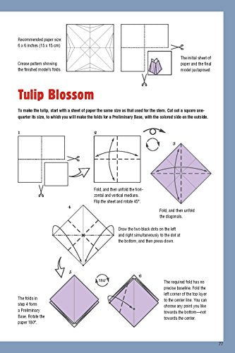 Origami Made Easy Kit: Step-by-Step Lessons for the Beginning Folder: Kit with Origami Book, 14 Projects, 60 Origami Papers, & Video Tutorial