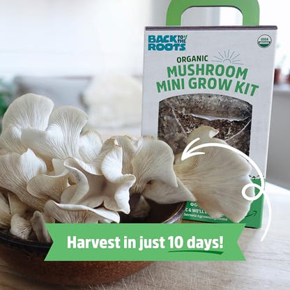 Back to the Roots Organic Mini Mushroom Grow Kit, Harvest Gourmet Oyster Mushrooms In 10 days, Top Gardening Gift, Holiday Gift, & Unique Gift - color: Mini