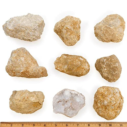 DANCING BEAR 8 XL Break Your Own Geodes, (2.5-3.5") 90% Hollow, Crack Open & Discover Amazing Surprise Crystals Inside! Educational Info and Instructions Included, Fun Party Favors & Prizes
