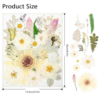 50Pcs Dried Pressed Flowers Real Pressed Flowers Natural Dry Leaves Bulk Mixed Colorful Herbs Kit with Tweezers for Scrapbooking DIY Candle Jewelry Crafts Making Nails (White) - color: White