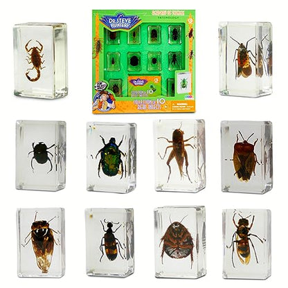 Geoworld 10 Insect Specimens Set - Real Beetles, Scorpions, Crickets in Resin with Magnifying Glass & Booklet - Great for Science Projects - Kids Scientific Educational Toy