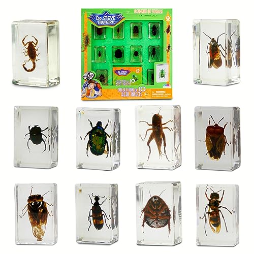 Geoworld 10 Insect Specimens Set - Real Beetles, Scorpions, Crickets in Resin with Magnifying Glass & Booklet - Great for Science Projects - Kids Scientific Educational Toy