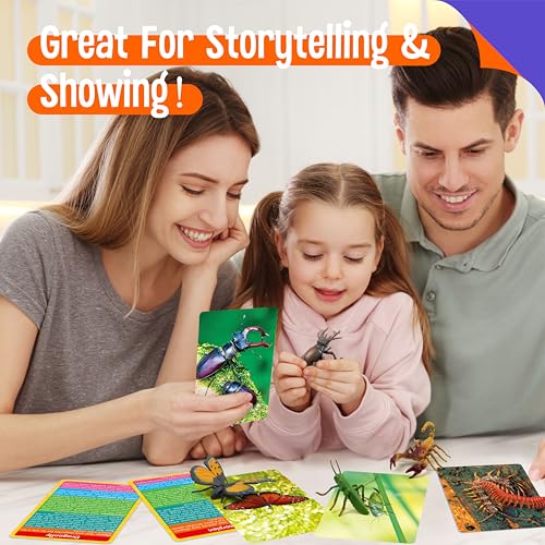 12 PCS Plastic Insect Figurines with 12 Introduction Flashcards, Small Creature Learning Recognition Cards Realistic Bug Models Educational Learning Toy Set for Kids, Classroom - style: Insect Set (including cards)
