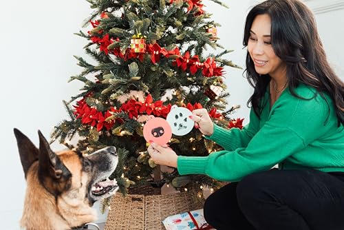 Pearhead Pet Christmas Clean Touch Ink Pad Kit for Dogs and Cats - color: Christmas Clean-touch Ink Pad Noseprint Kit, size: 1-Pack