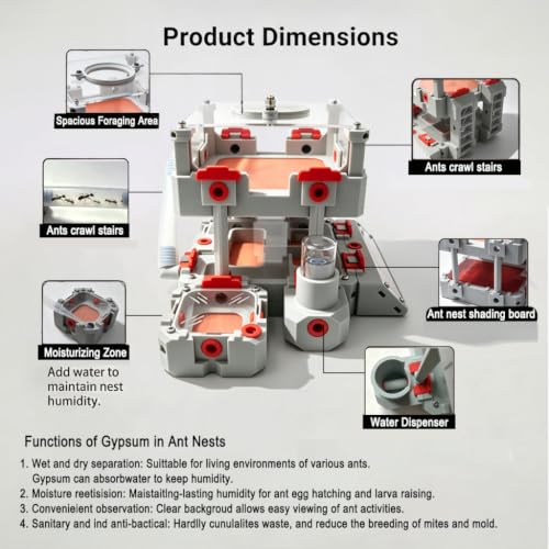Ant Farm Nest Kit – DIY Science Terrarium with Water Tower, Nurturing Room & Large Observation Area for Live Ants (3D Formicarium Plus) - color: Grey2