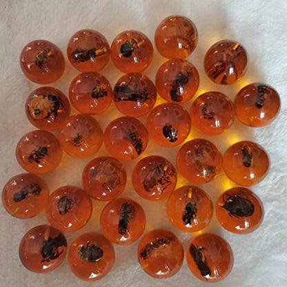 Multiple Psc Spherical Insect Amber Fossil, Spherical Luminous Insect Specimen, Educational and Scientific Amber Collection (8Pcs)