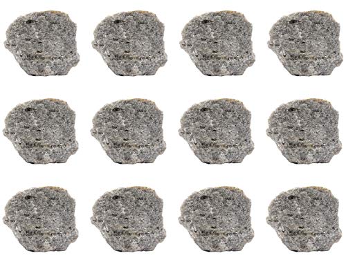 EISCO 12PK Raw Mica Schist, Metamorphic Rock Specimens - Approx. 1" - Geologist Selected & Hand Processed - Great for Science Classrooms - Class Pack