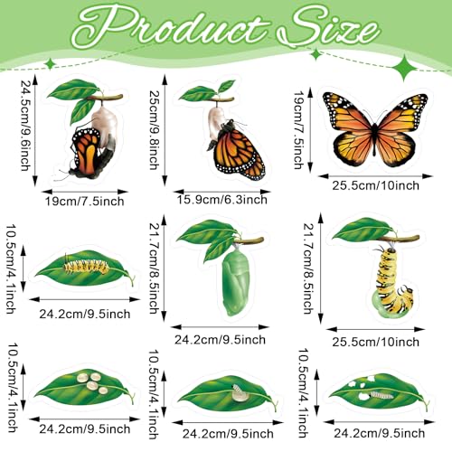 Relaxweex 9 Pcs Magnetic Butterfly Life Cycle Toys for Kid Caterpillar to Monarch Butterfly Growth Cycle Toy Insect Figures for Kids Education Preschool Classroom Insect Themed Teaching Tools Supplies