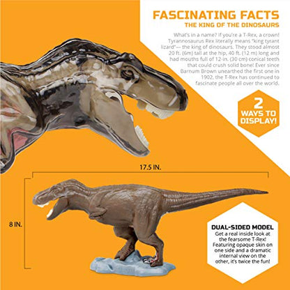 Discovery™ 4D T-Rex Anatomy Kit, Jurassic Dinosaur Puzzle Figure, Interactive Archaeology & Paleontology Model, Learn Science & Biology, Fun & Educational STEM Toy Gift for Kids Ages 6+