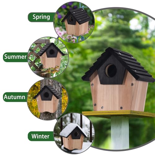 NATUREYLWL DIY Wooden Birdhouse Kit with Side Access