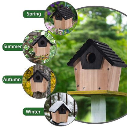 NATUREYLWL DIY Wooden Birdhouse Kit with Side Access