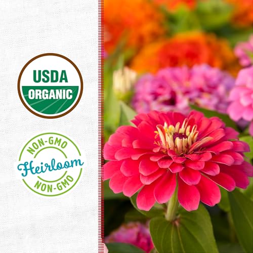 Back to the Roots Organic Zinnia Flower Grow Kit with Plantable Starting Pot Soil and Seeds - size: 5 inches, style: Zinnia Flower Kit
