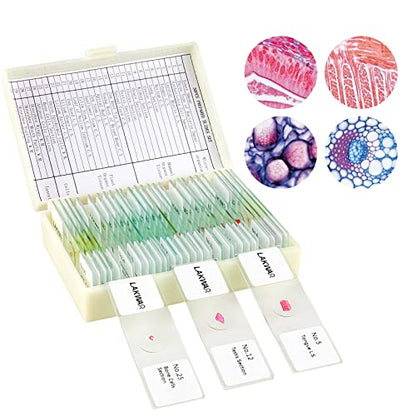 30 Microscope Slides with Specimens for Kids, Prepared Microscope Slides for Kids Microbiology, Glass Slides for Microscope, Biology Gifts for Adults Kids - size: 30pcs