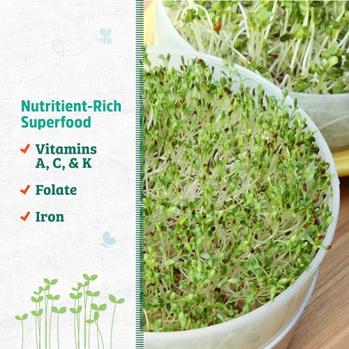 Back to the Roots 100% Organic Alfalfa Seeds | 1 Pound Non-GMO | Nutrient Dense, Easy to Grow, Rich in Fiber - color: Alfalfa 1lb