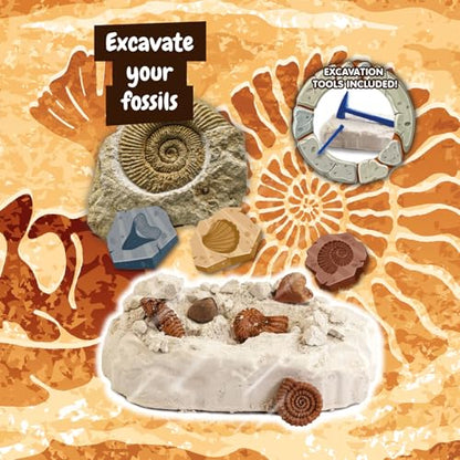 Science4you Fossil Digging Kit for Kids – Archeology, Excavation and Paleotology Kits for Kids, Fossil Dig, Stem Toy and Gift for Boys and Girls Age 6 7 8-12+ - style: 2. Fossil Excavation Kit