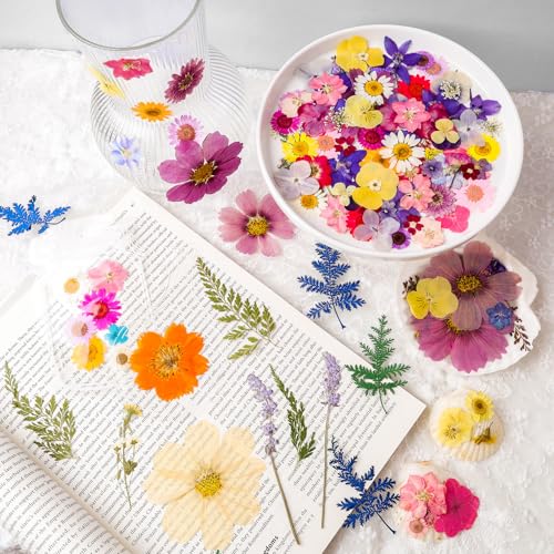Dried Pressed Flowers Real Pressed Flowers Natural Dry Leaves Bulk Mixed Colorful Herbs Kit with Tweezers for Scrapbooking DIY Candle Jewelry Crafts Making Nails - color: Vivid Color
