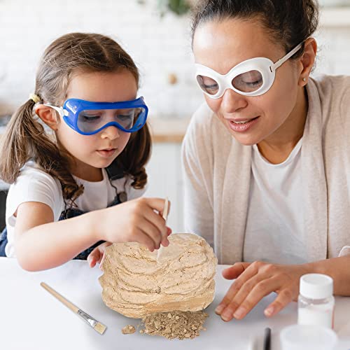 ArtCreativity Dinosaur Excavation Kit, 5-Inch Carnotaurus Skull Toy & Stand - style: Carnotaurus