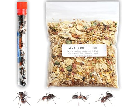 25 Live Ants for Ant Farms (1 Tube) with Ant Food Premium Custom Mix - style: 25 Live Ants+Food