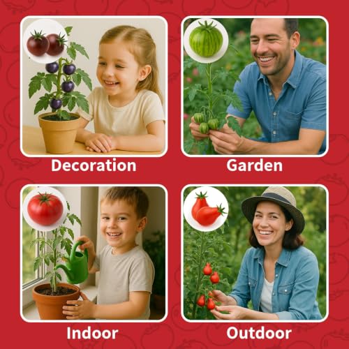 5 Tomato & Tomatillo Seed Kit with Planting Tools, Non-GMO Heirloom