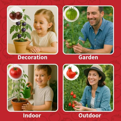 5 Tomato & Tomatillo Seed Kit with Planting Tools, Non-GMO Heirloom