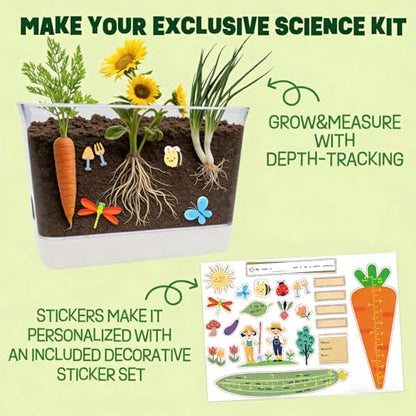 Large Root Viewer Kit for Kids STEM Science Toy Growing Kits for Ages 4, 5, 6, 7, 8, 9,10 Birthday Gifts for Boys Girls, DIY Set, Includes Strawberry, Eggplant, Dwarf Sunflower, Carrot, Pea, Scallion