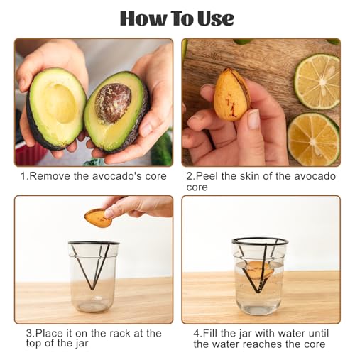 4 Pcs Avocado Seed Starter Rack Gardening Enthusiasts - color: Black