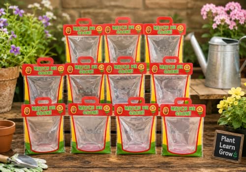Fun Express Clear Vinyl Pocket Greenhouses - 12 Pack Kids STEM Gardens
