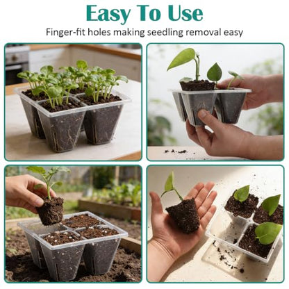 RooTrimmer 80 Pack Reusable 4-Cell Clear Seed Starter Trays - Extra Large Drainage Holes, Easy Transplant, Clear Transparent Tray for Root Observation, Seed Starting, Fits Standard 1020 Flats - color: Clear, size: 4 Cells-80P