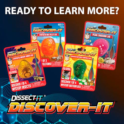 Discover-It Owl Pellet, Science Lab Kit, STEM Toys for Kids, Ages 5+ - style: Owl Pellet
