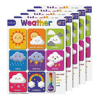 FoldCard Weather Chart Educational Poster 8.5x11 5pk - color: Weather and Temperature