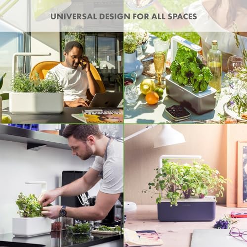 Click & Grow Indoor Herb Garden Kit with Grow Light | Smart Garden for Home Kitchen Windowsill | Easier Than Hydroponics Growing System | Vegetable Gardening Starter (3 Basil Pods Included), Grey - color: Gray