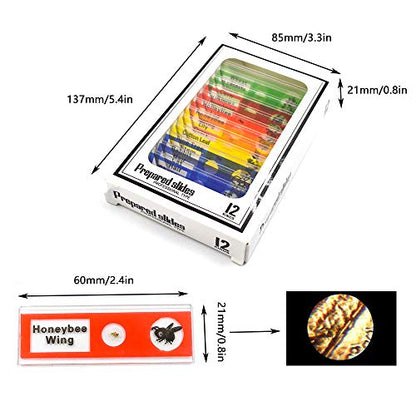 Prepared Microscope Slides, 48pcs Plastic Animals Insects Plants Flowers Sample Specimens - color: 48pcs