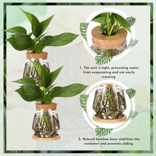 Baderke 12 Pack Propagation Vases for Plants, Cup Style - color: Transparent