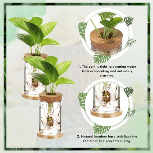 Baderke 12 Pack Propagation Vases for Plants, Classic Style - color: Classic Style