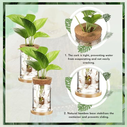 Baderke 12 Pack Propagation Vases for Plants, Classic Style - color: Classic Style