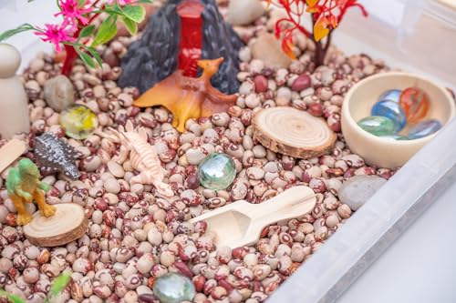 Dinosaur Sensory Bin Kit for Kids - style: Dinosaur Sensory Bin Kit