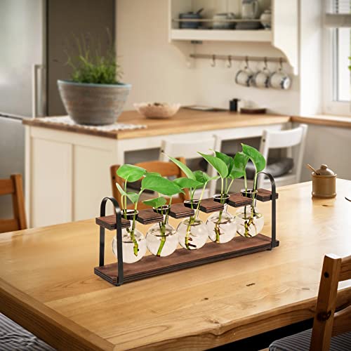 5-Bulb Plant Propagation Station, Glass Vase Terrarium, Wood Metal Stand - color: Dark Brown