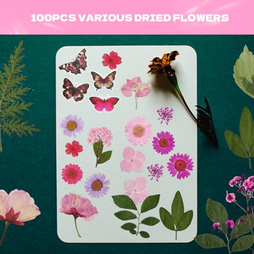 Dried Flowers for Resin 116Pcs Pink Real Natural Pressed Flowers - size: 116 pcs Pink Dried Flowers with Butterfly Stickers